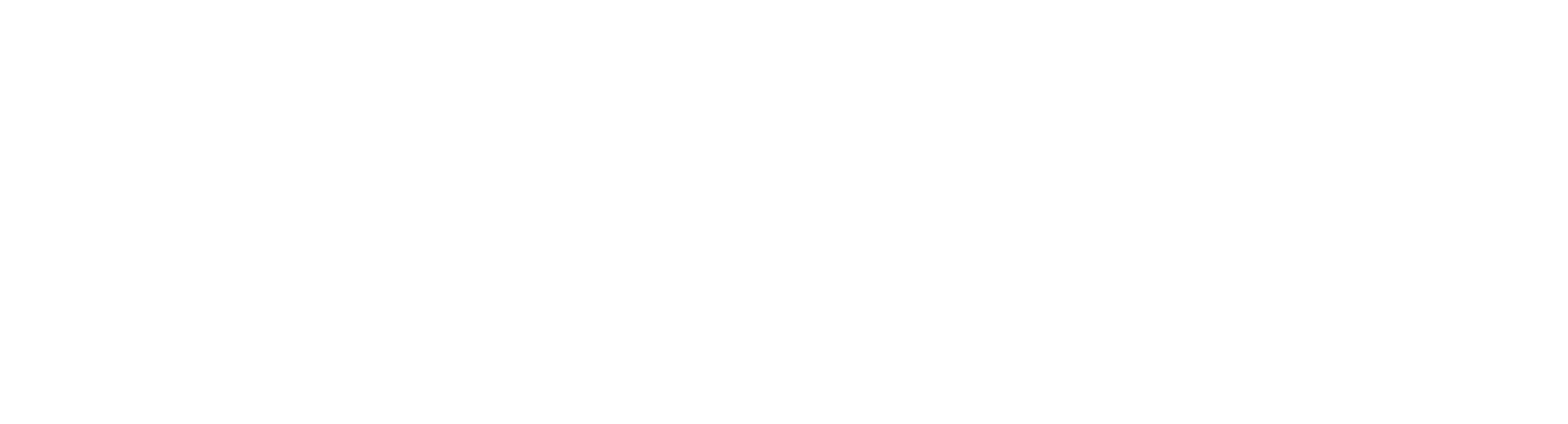 BLIKS IO